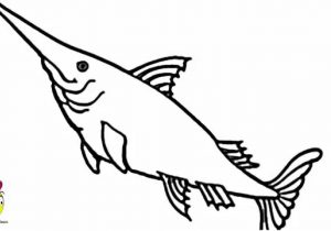 300x210 Simple Fish Drawing Simple Fish Drawing At Getdrawings Free - Simple Fish Drawing