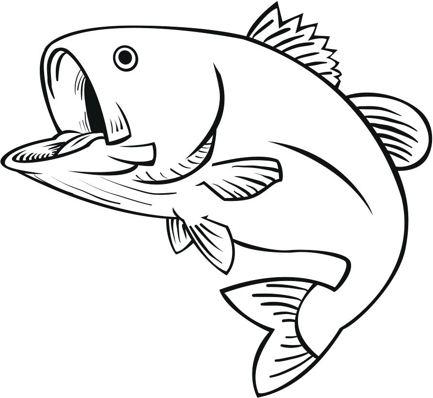 892x820 simple fish to draw best how to draw fish ideas on fish sketch - Simple Fish Drawing