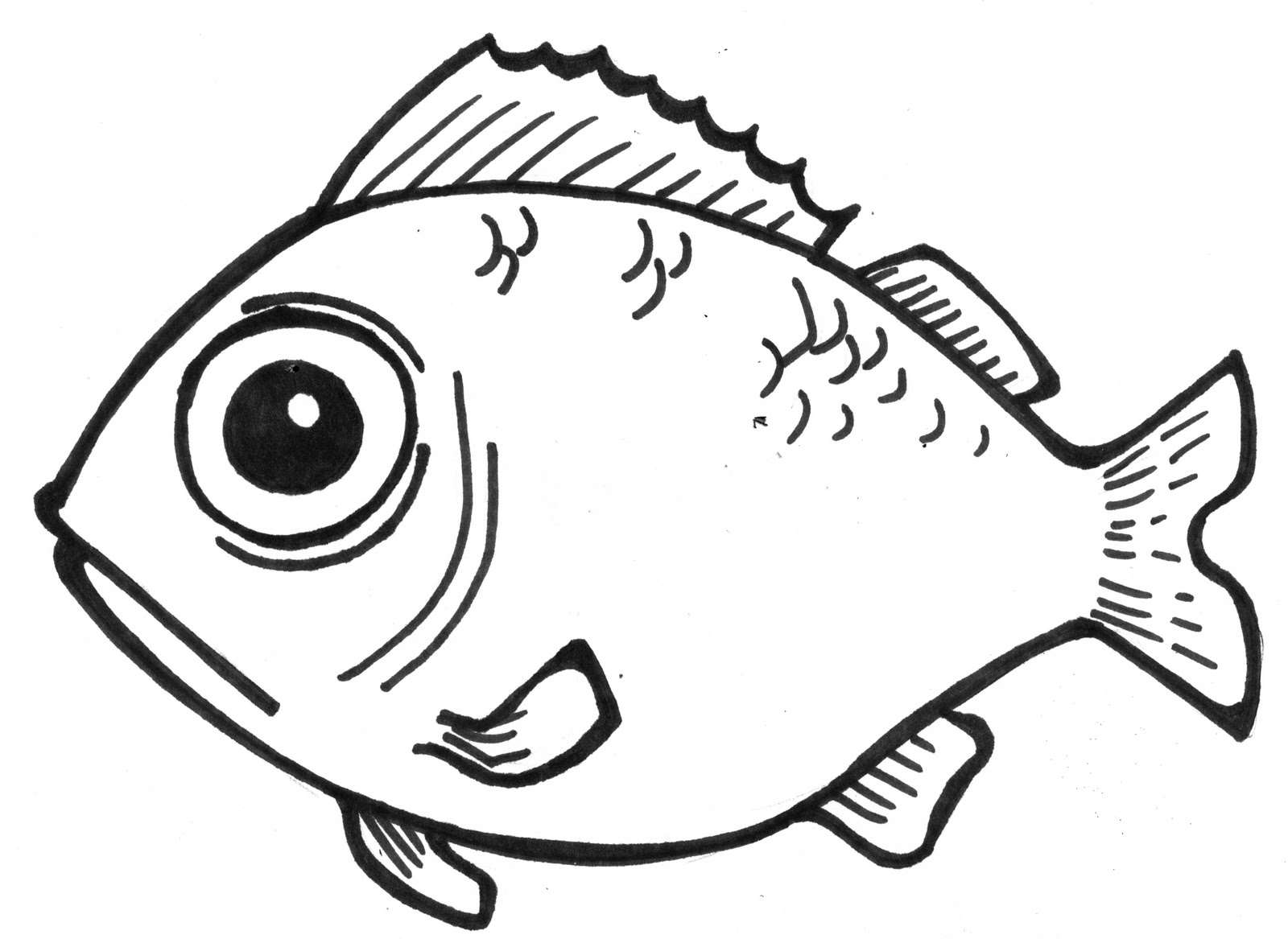 1600x1167 complete simple fish drawing free for kids download clip art - Simple Fish Drawing