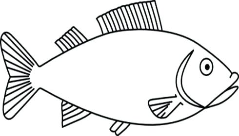 490x280 fish outline drawing simple fish outline template drawing easy - Simple Fish Drawing