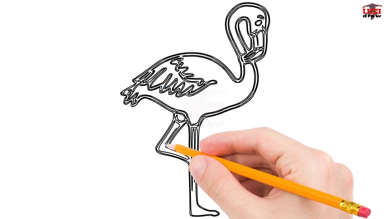 1280x720 How To Draw A Flamingo Step - Simple Flamingo Drawing