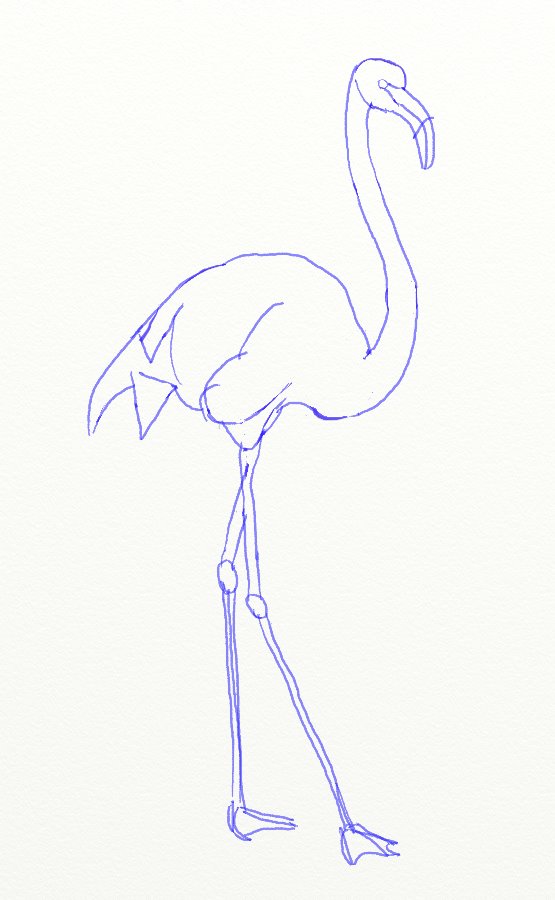 555x900 How To Draw A Pink Flamingo - Simple Flamingo Drawing
