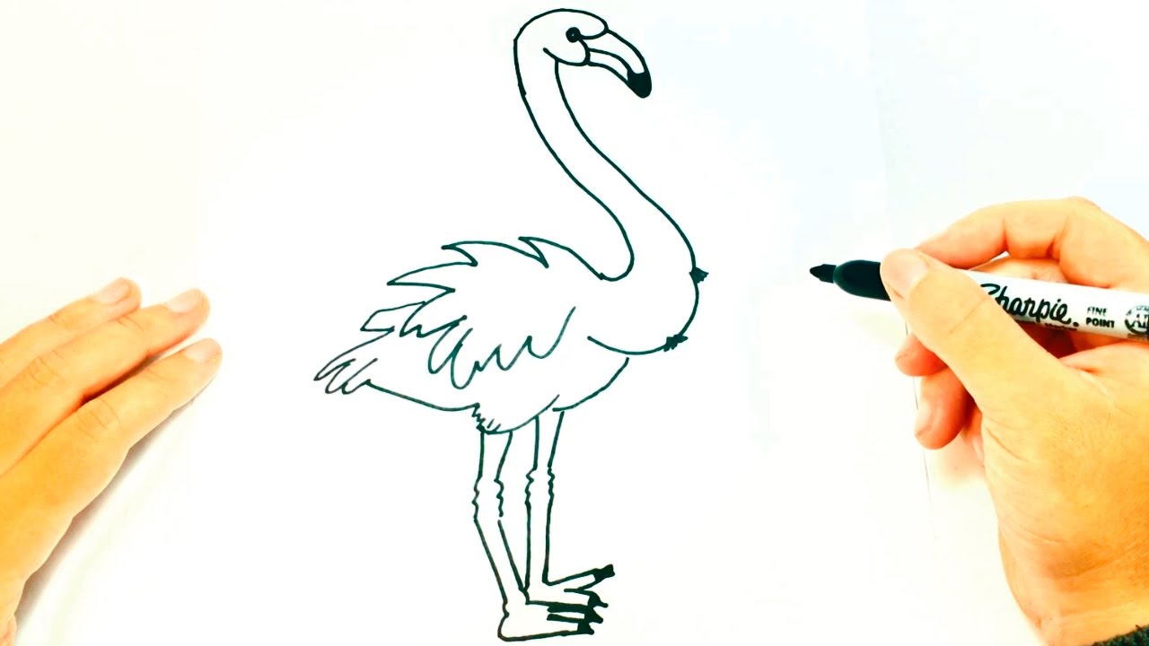 1280x720 How To Draw A Flamingo Flamingo Easy Draw Tutorial - Simple Flamingo Drawing