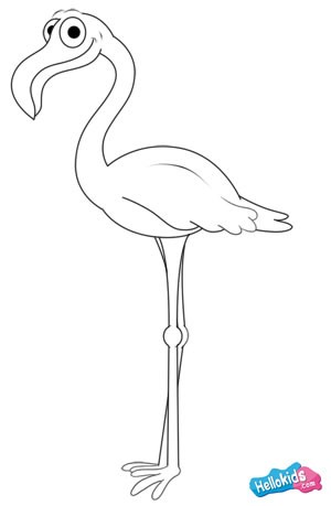 300x459 How To Draw How To Draw A Flamingo - Simple Flamingo Drawing