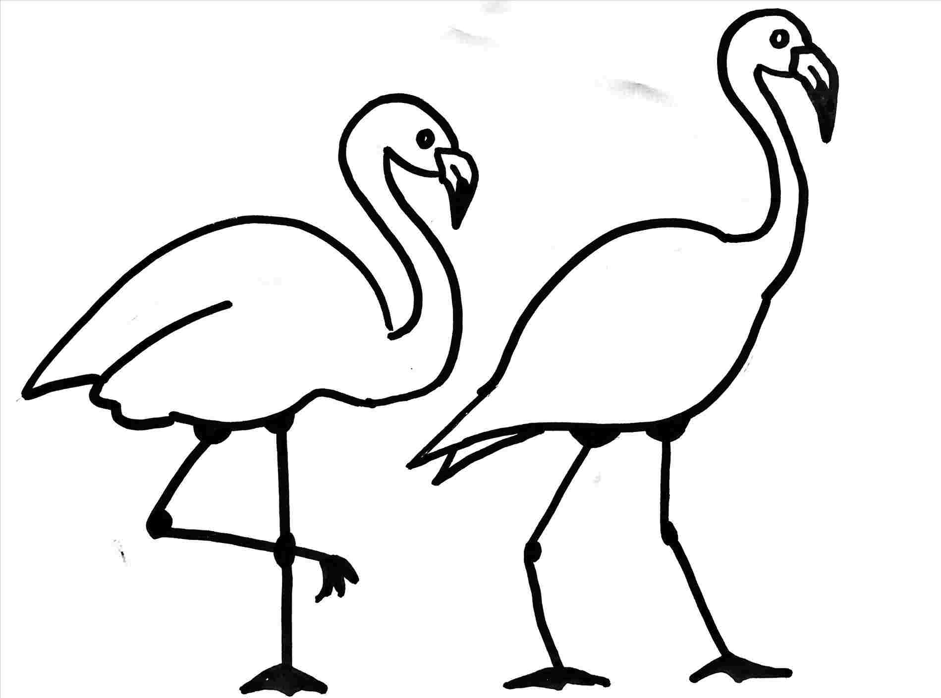 Simple Flamingo Drawing at Explore collection of