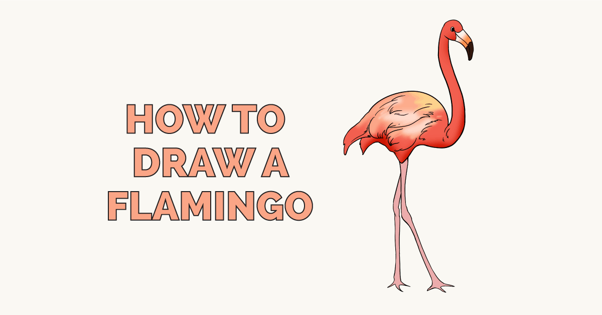 1200x628 How To Draw A Flamingo - Simple Flamingo Drawing