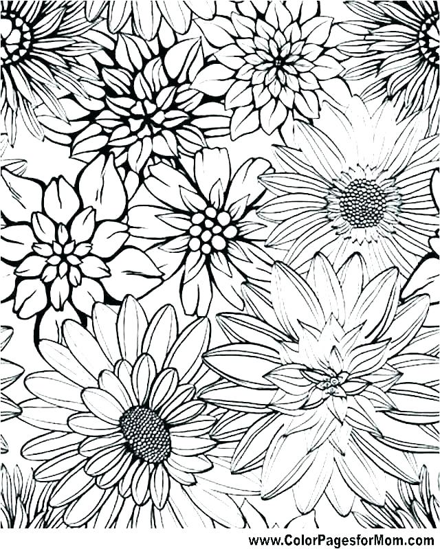 640x799 Flower Designs To Draw How To Draw Flowers Doodles Drawings - Simple Floral Designs For Drawing
