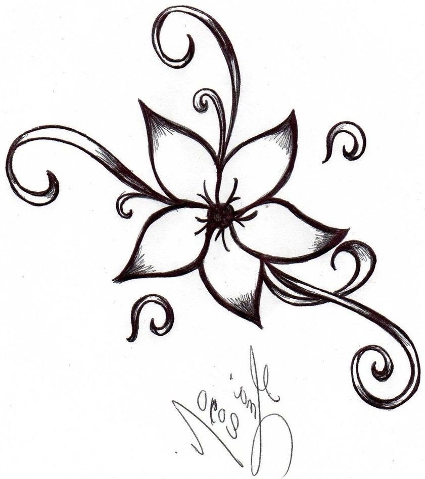 841x949 How To Draw Simple Flowers Step For Simple Flower Drawings - Simple Floral Drawing