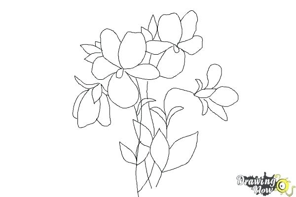 600x400 simple floral designs for drawing image result how to draw easy - Simple Floral Drawing