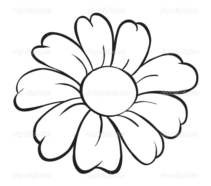 Simple Flower Designs For Pencil Drawing At Paintingvalley