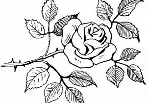 300x210 Easy Pencil Drawings Flower Design Easy Flower Designs To Draw - Simple Flower Designs For Pencil Drawing