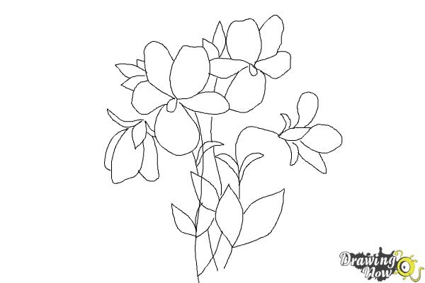 600x400 How To Draw Simple Flowers - Simple Flower Drawing