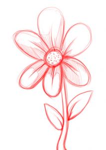 213x302 Draw A Simple Flower, Step - Simple Flower Drawing