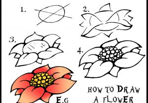 300x210 Flowers To Draw Step - Simple Flower Drawing Step By Step