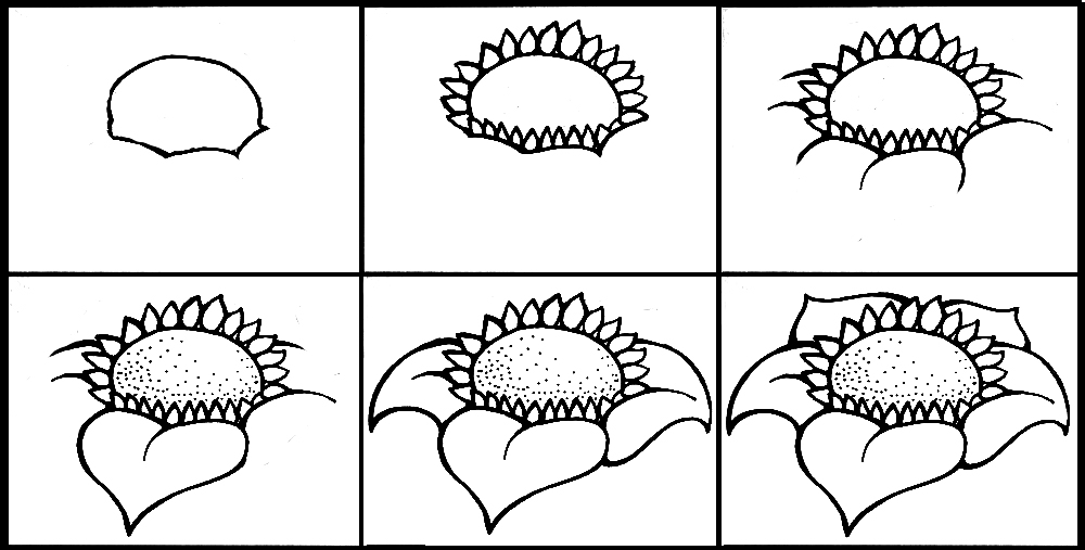 1000x507 How To Draw A Flower Step - Simple Flower Drawing Step By Step