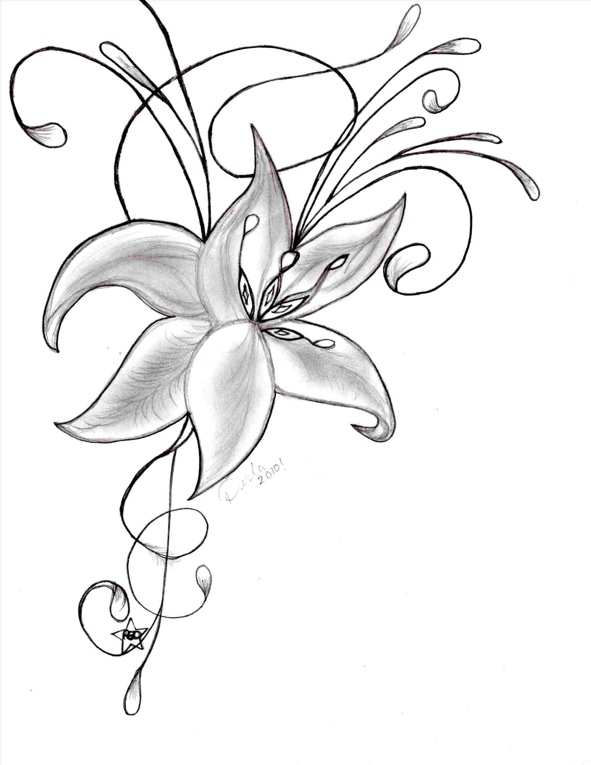 1900x2458 Simple Flower Drawing Step - Simple Flower Drawing Step By Step