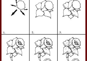 300x210 Simple Flower Drawing Step - Simple Flower Drawing Step By Step