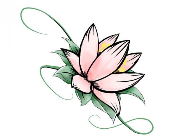 640x480 Simple Flower Drawings - Simple Flower Line Drawing