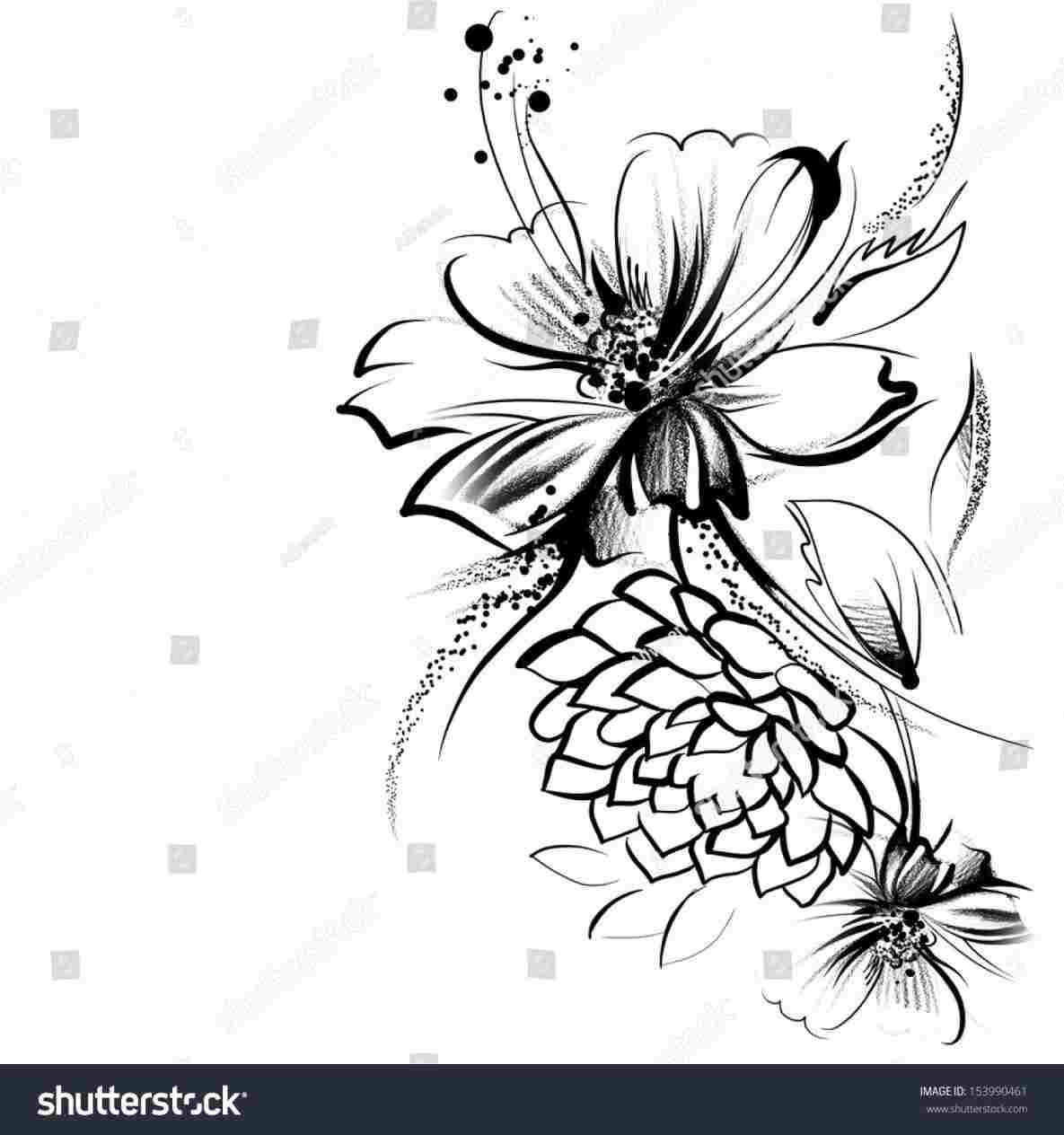 1185x1264 Flower Line Drawings Pencil Modeern - Simple Flower Line Drawing