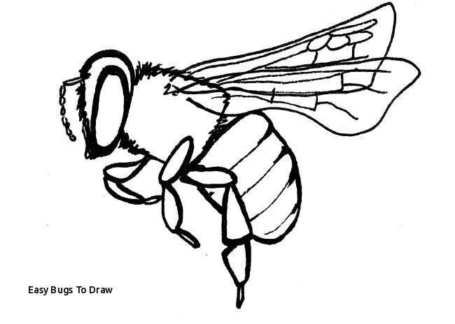 650x464 Easy Bugs To Draw Simple Insect And Flower Line Drawings - Simple Flower Line Drawing