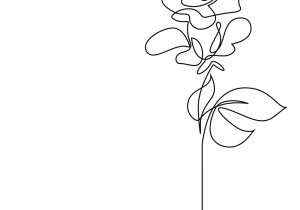 Simple Flower Line Drawing At Paintingvalleycom Explore