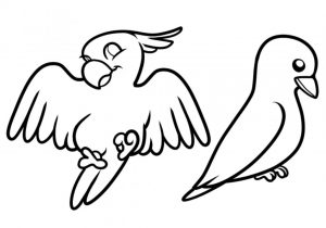 300x210 how to draw a simple bird flying how to draw a flying bird, how - Simple Flying Bird Drawing