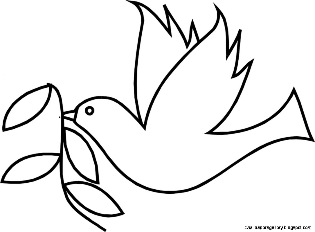 1085x799 simple flying bird drawing wallpapers gallery - Simple Flying Bird Drawing