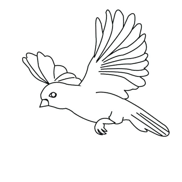 600x600 Crow Coloring - Simple Flying Bird Drawing