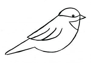 300x210 fly bird simple drawing easy step how to draw a simple bird flying - Simple Flying Bird Drawing