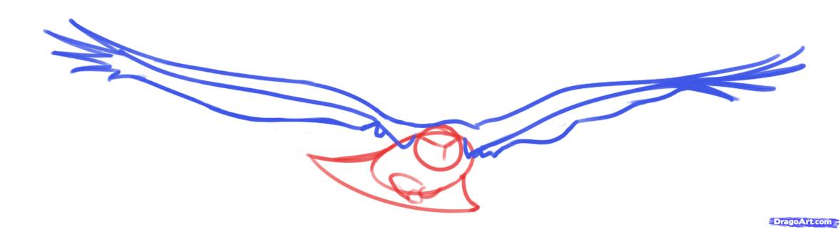 1178x322 How To Draw Flying Birds, Step - Simple Flying Owl Drawing