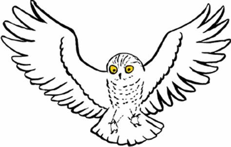 474x302 Simple Flying Owl Drawing Gtgt - Simple Flying Owl Drawing