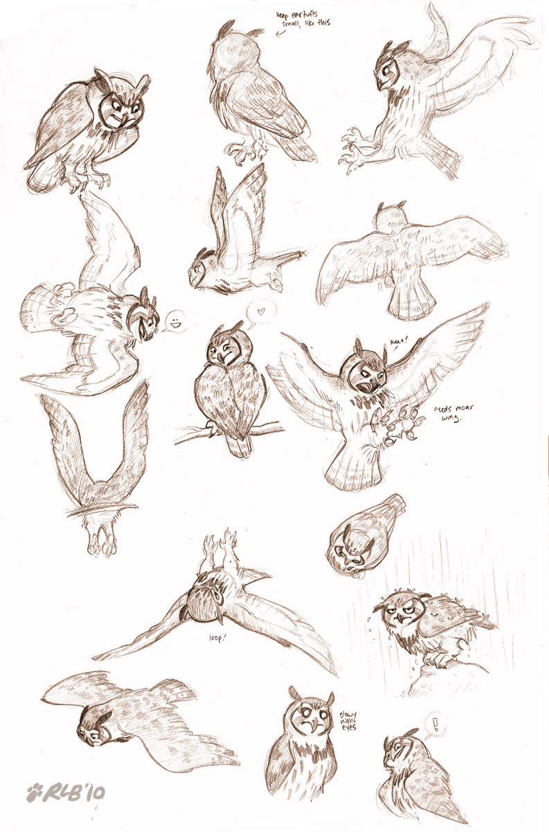 793x1200 Sketch Of An Owl - Simple Flying Owl Drawing