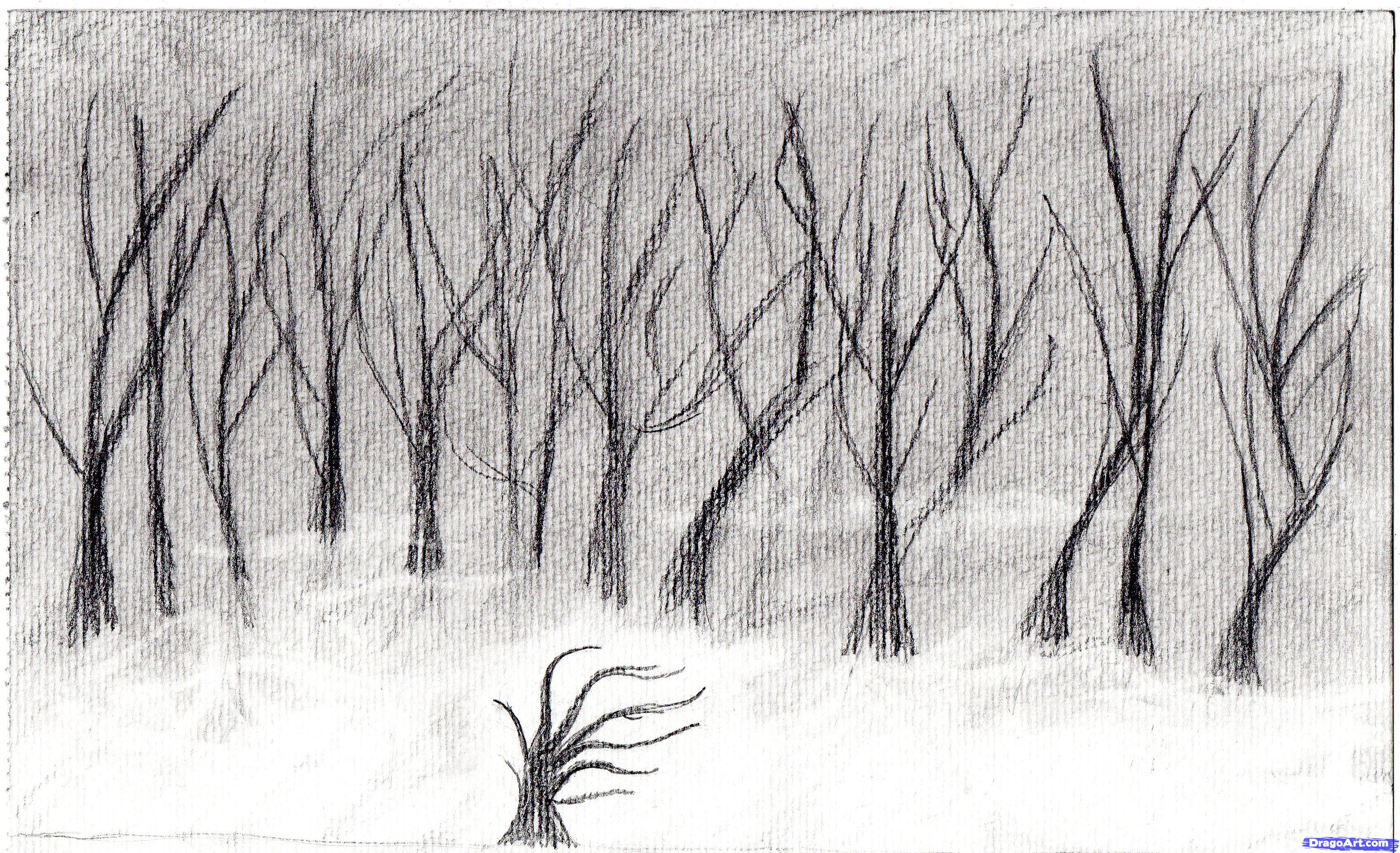 Страшный лес карандашом