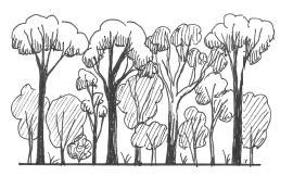 Simple Forest Drawing at PaintingValley.com | Explore collection of ...