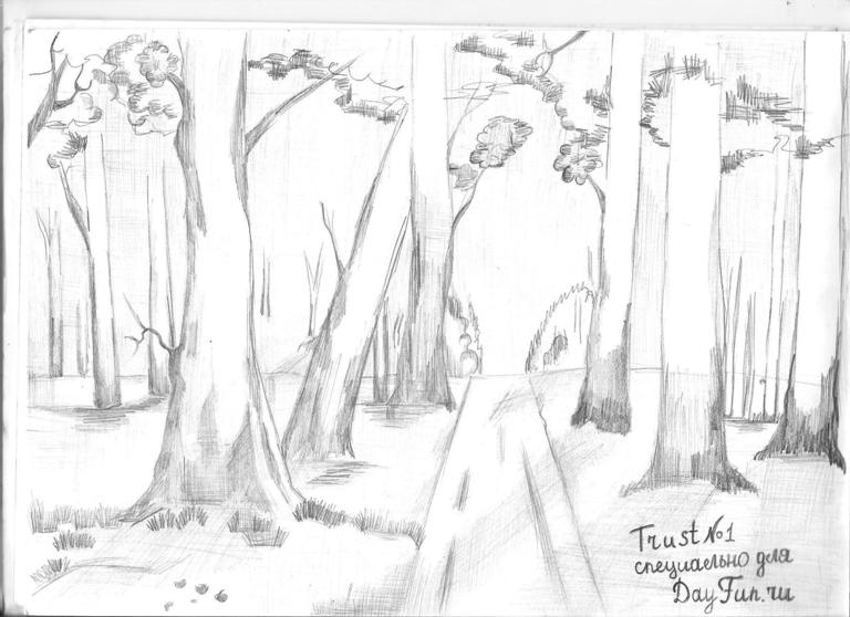 768x558 How To Draw Forest Step - Simple Forest Drawing