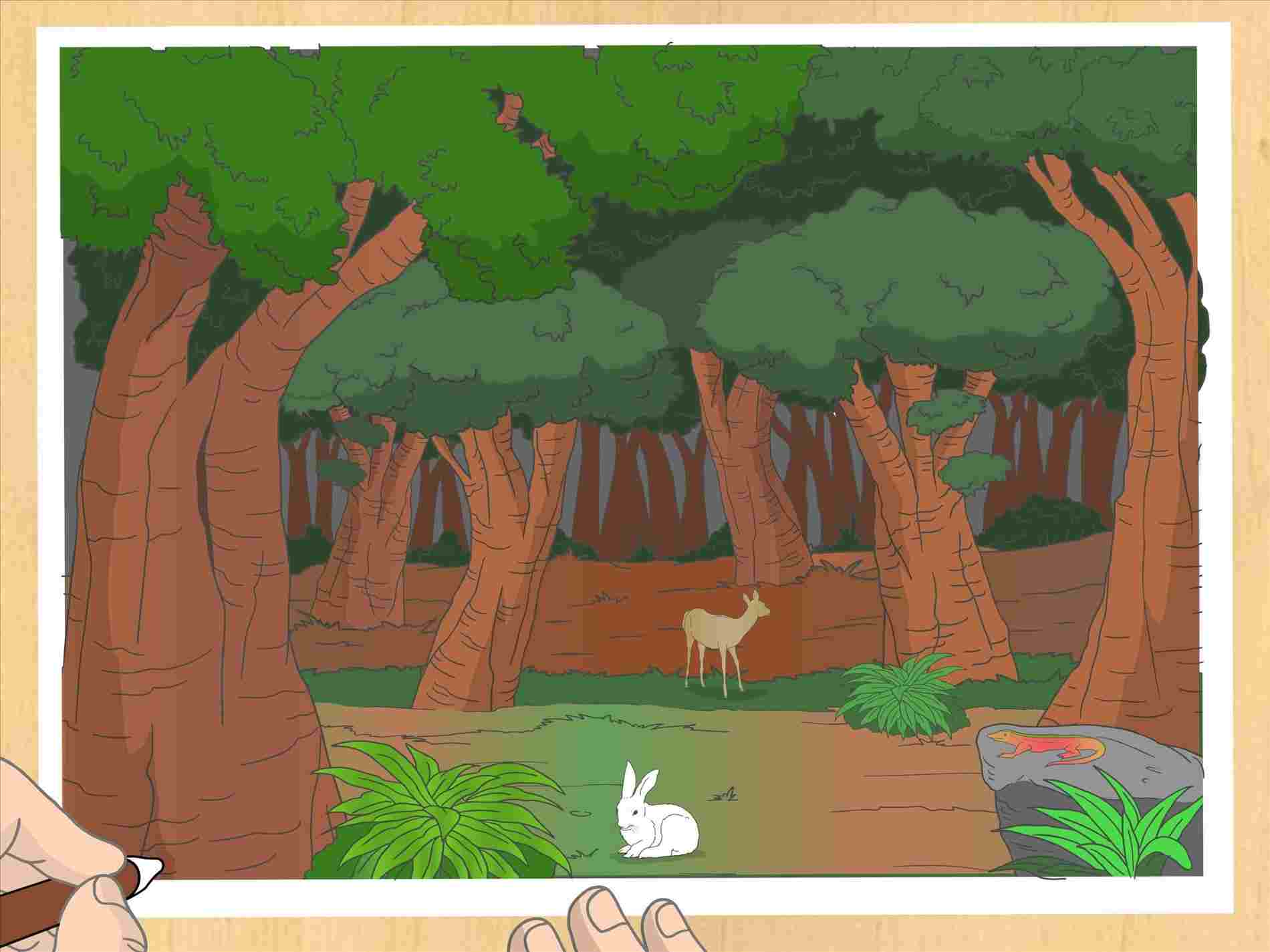 1900x1425 Artsyrhartsycom Simple Forest Drawing With Animals Artsyrhartsycom - Simple Forest Drawing