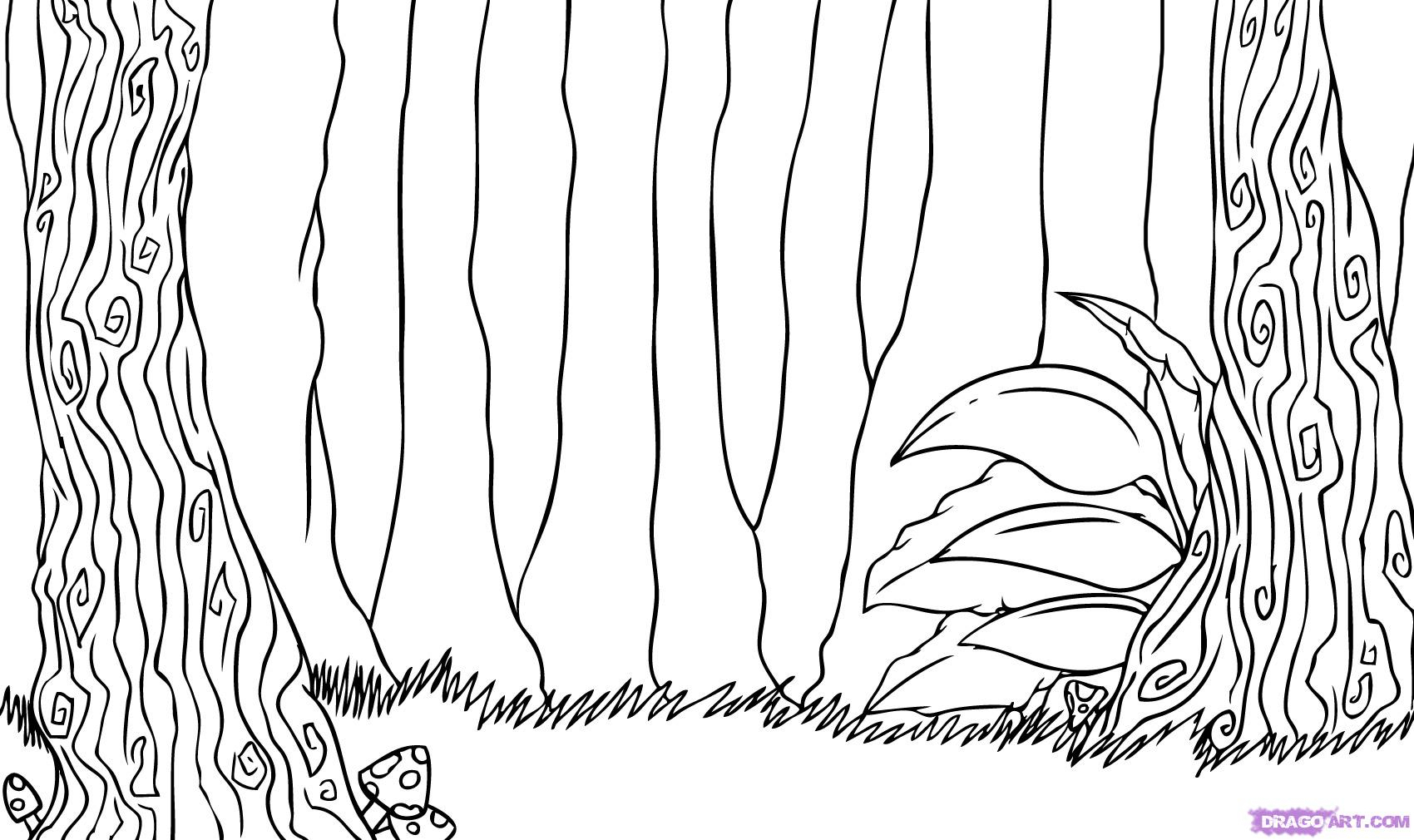 1700x1010 Forest Drawing Simple For Free Download - Simple Forest Drawing