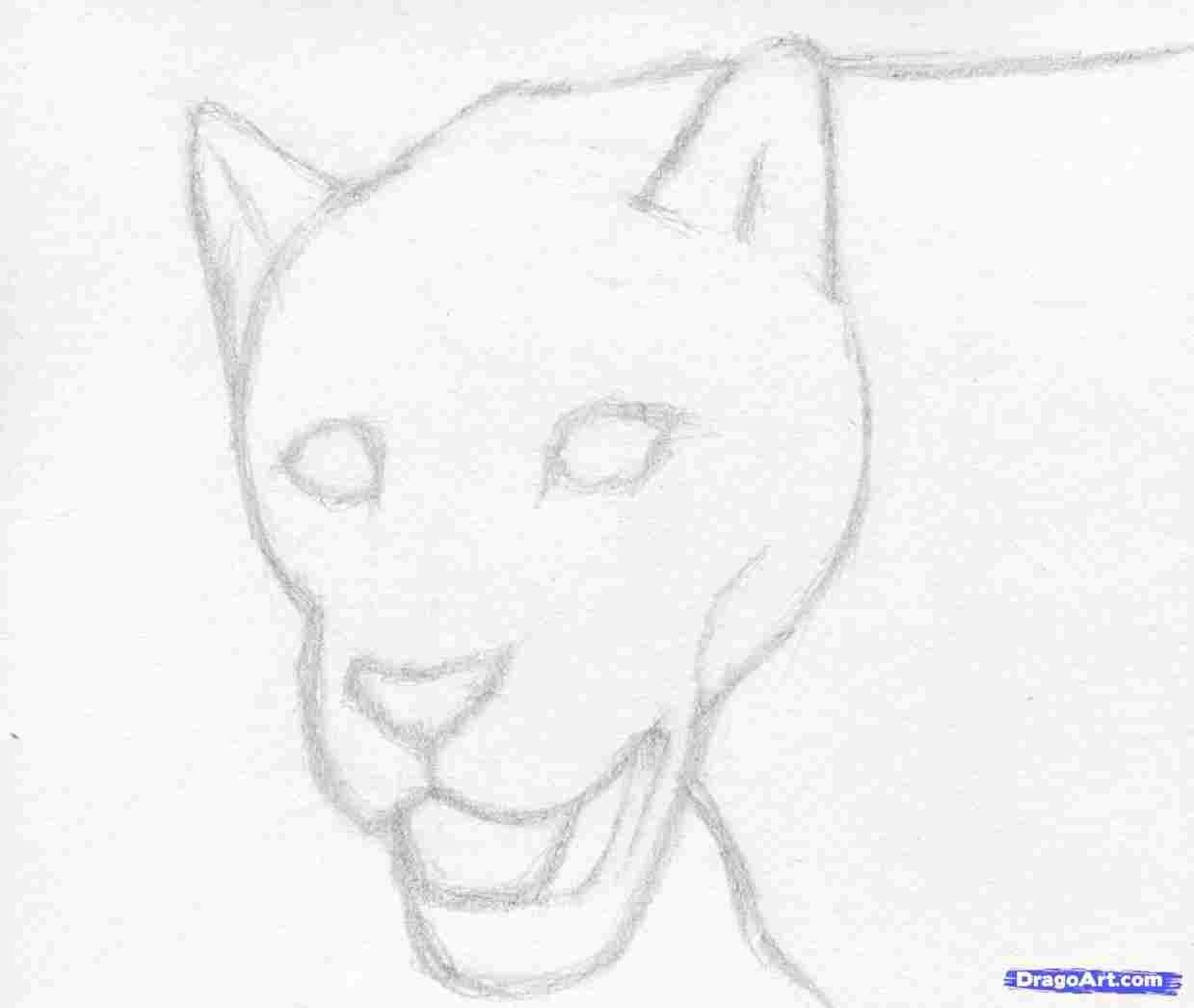 1239x1046 bird sketches sketch rhcouk simple forest - Simple Forest Drawing