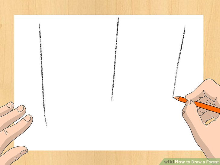 Simple Forest Drawing With Animals