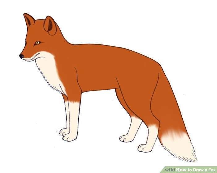 701x560 Ways To Draw A Fox - Simple Fox Drawing