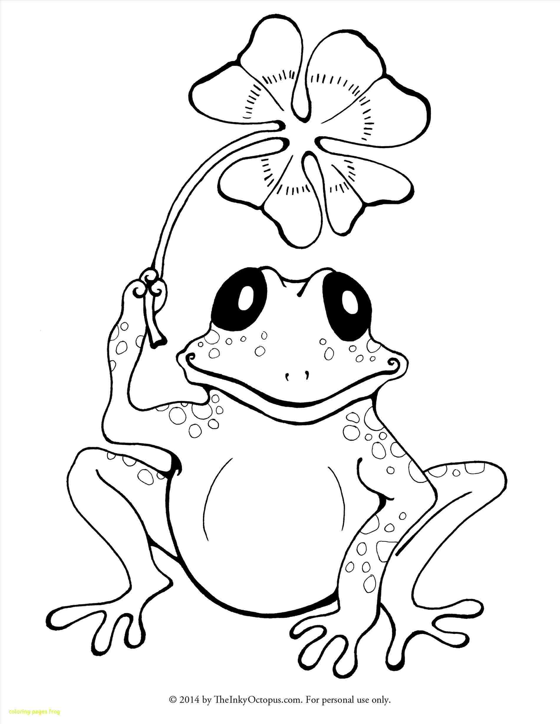1900x2458 Frog Simple Drawing - Simple Frog Drawing