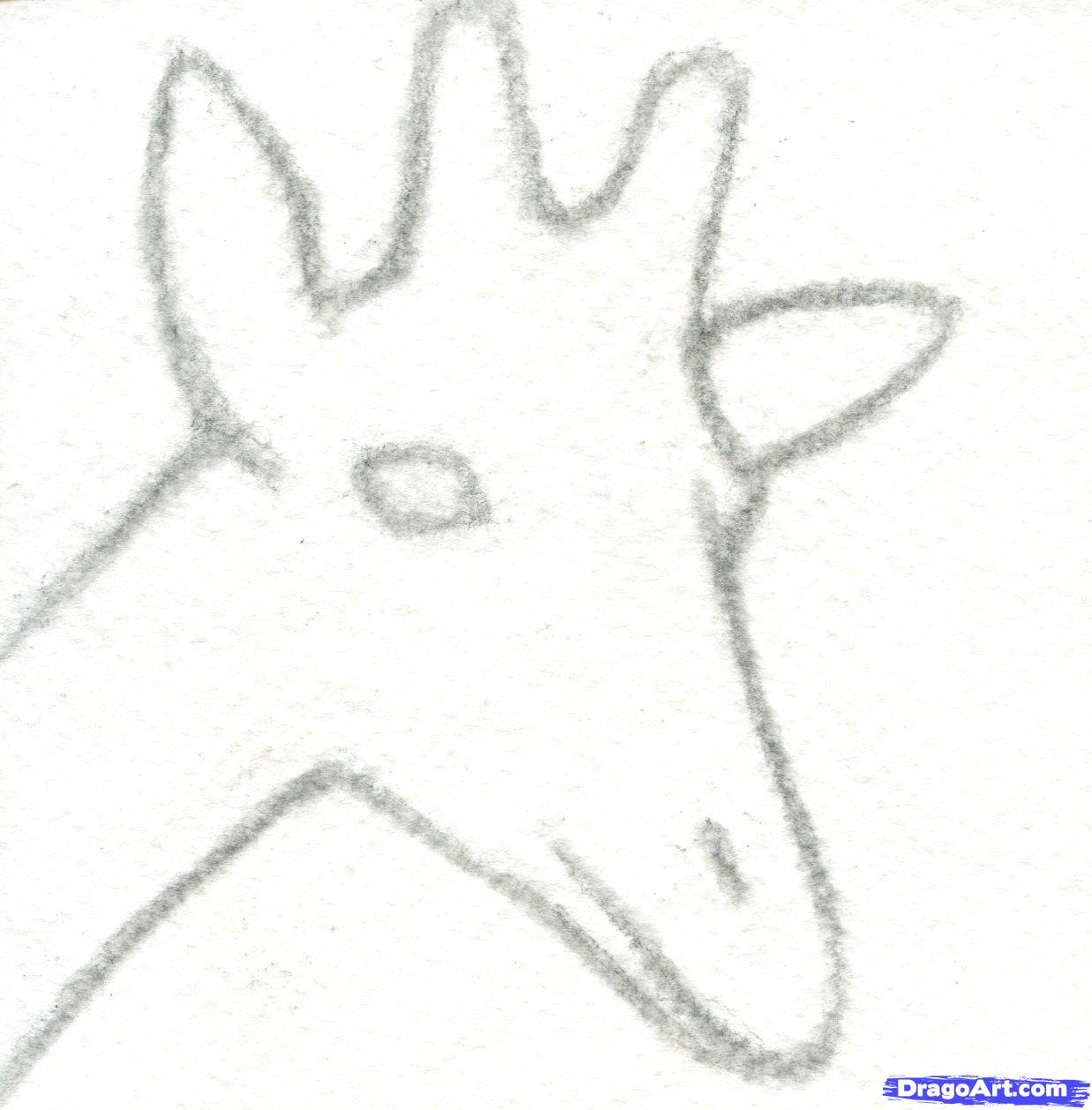 1237x1258 How To Draw A Giraffe Head, Step - Simple Giraffe Drawing