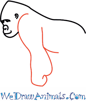 300x350 How To Draw A Gorilla - Simple Gorilla Drawing