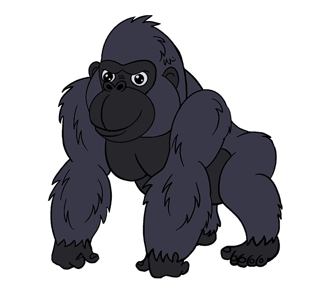 678x600 How To Draw A Cartoon Gorilla In A Few Easy Steps Easy Drawing - Simple Gorilla Drawing