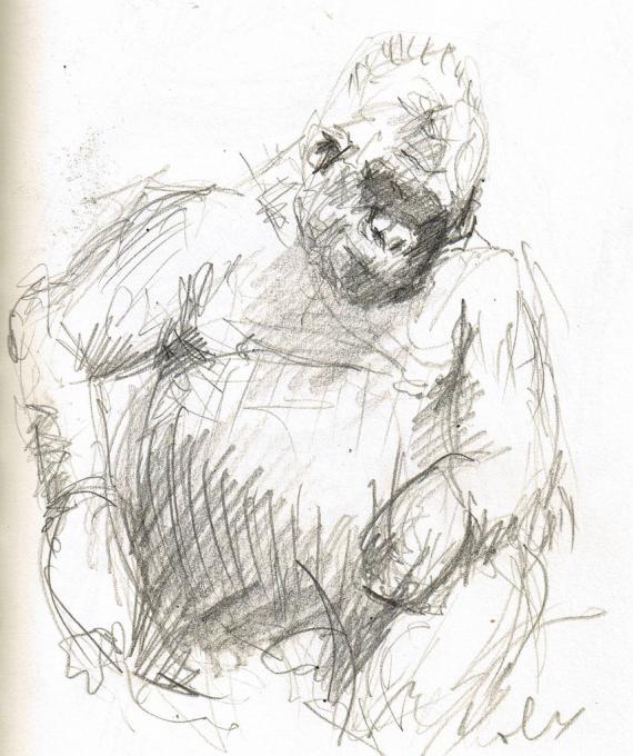 570x680 Gorilla Animals Drawings Pictures Drawings Ideas For Kids - Simple Gorilla Drawing