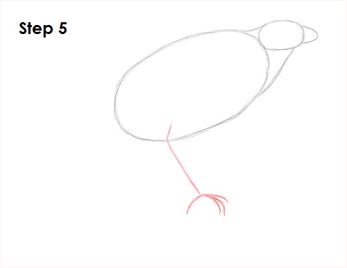500x386 How To Draw A Hawk - Simple Hawk Drawing