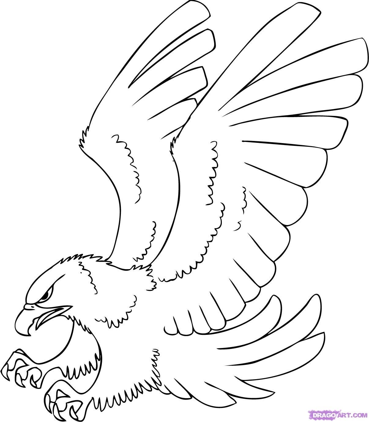 1206x1380 Free Hawk Images To Draw A Cartoon Hawk, Step - Simple Hawk Drawing