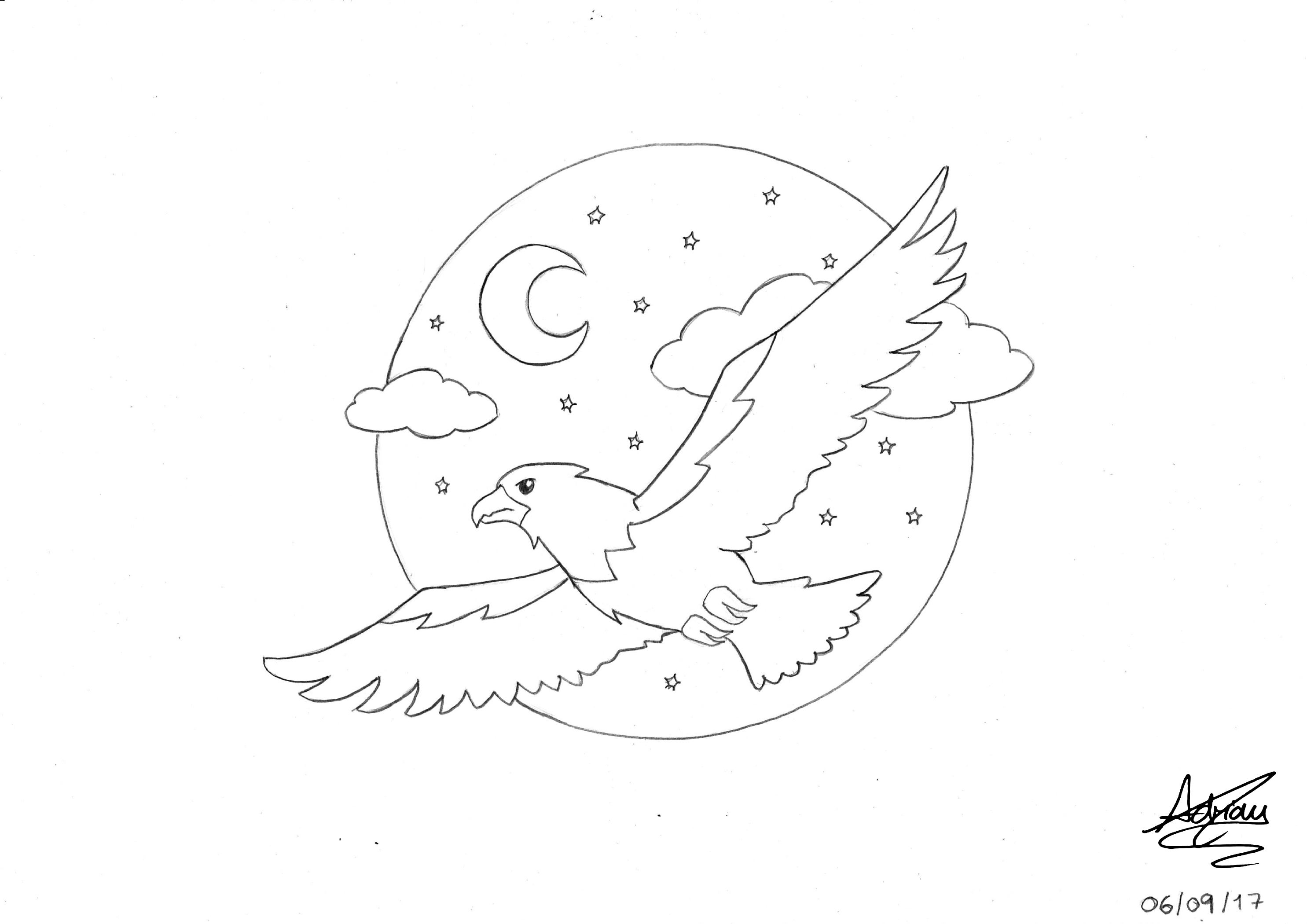 2970x2100 Daily Drawing - Simple Hawk Drawing