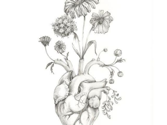 640x480 Simple Heart Drawing - Simple Heart Drawing