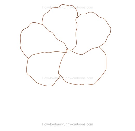 520x504 how to create a hibiscus drawing - Simple Hibiscus Drawing